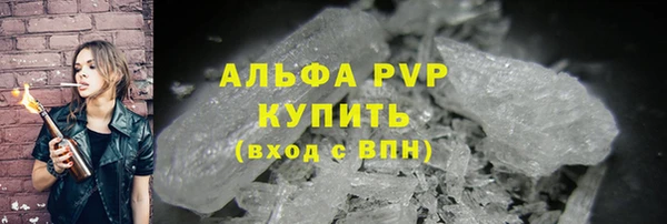 соль ск Новозыбков