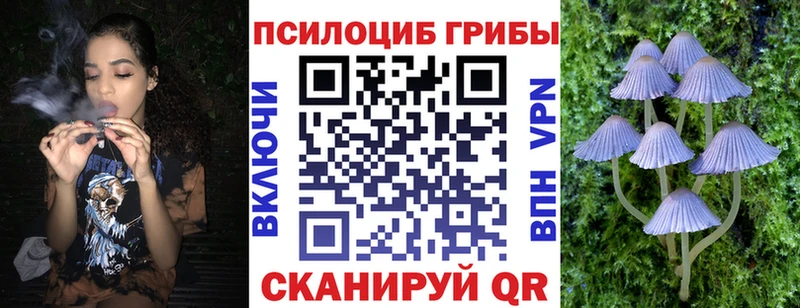 omg зеркало  наркотики  Амурск  Галлюциногенные грибы ЛСД 
